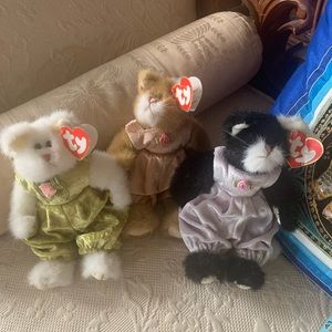 Ty beanie cats